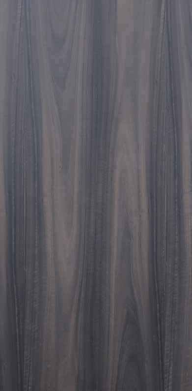 Crown Eucalyptus